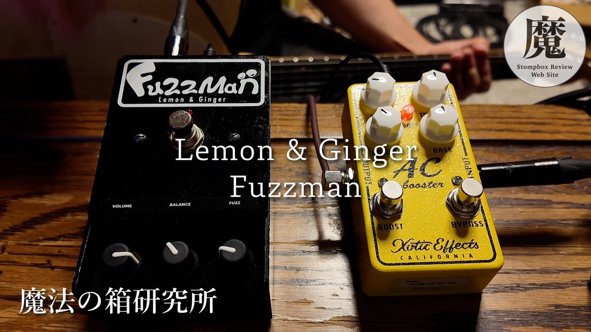lemon&ginger TAKOTAVIA オクターブファズ Takotavia – Lemon & Ginger