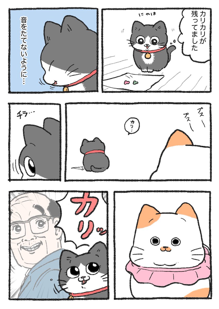 ねこに転生したおじさん。その345