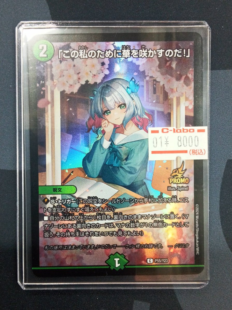 この私のために華を咲かすのだ プロモ 4枚 この私のために華を咲かす