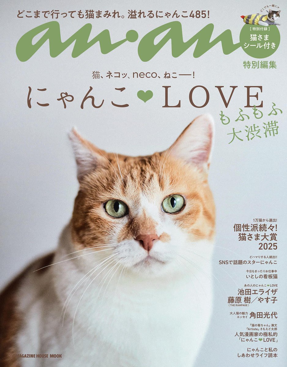 🐈 anan特別編集『 #にゃんこLOVE もふもふ大渋滞』、猫の日前日の2月