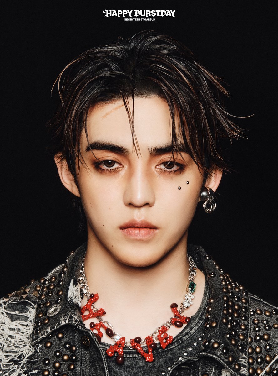 SEVENTEEN (세븐틴) 5th Album '𝐇𝐀𝐏𝐏𝐘 𝐁𝐔𝐑𝐒𝐓𝐃𝐀𝐘' Concept