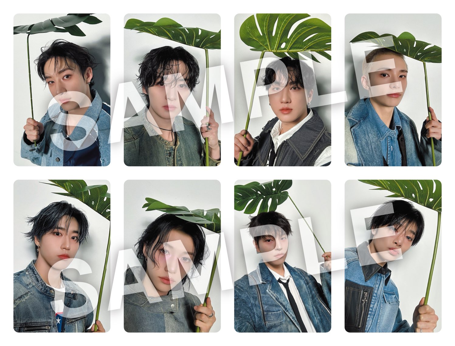 stray kids hollow タワレコ 予約 特典 トレカ 8種コンプ straykids