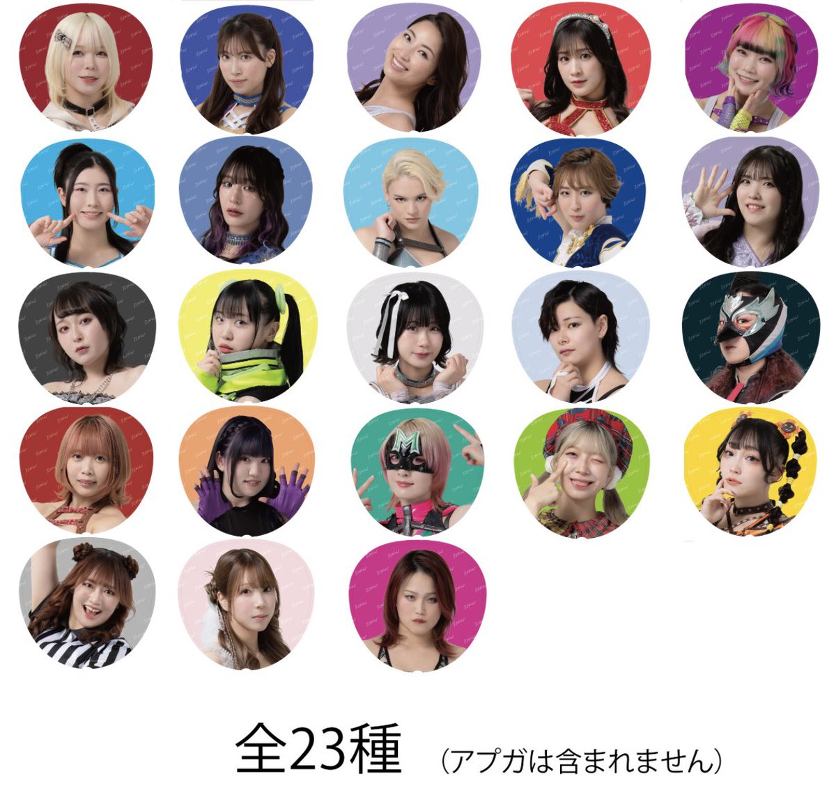 お待たせしました！ これまでずっと通販になかったTJPWジャンボうちわ