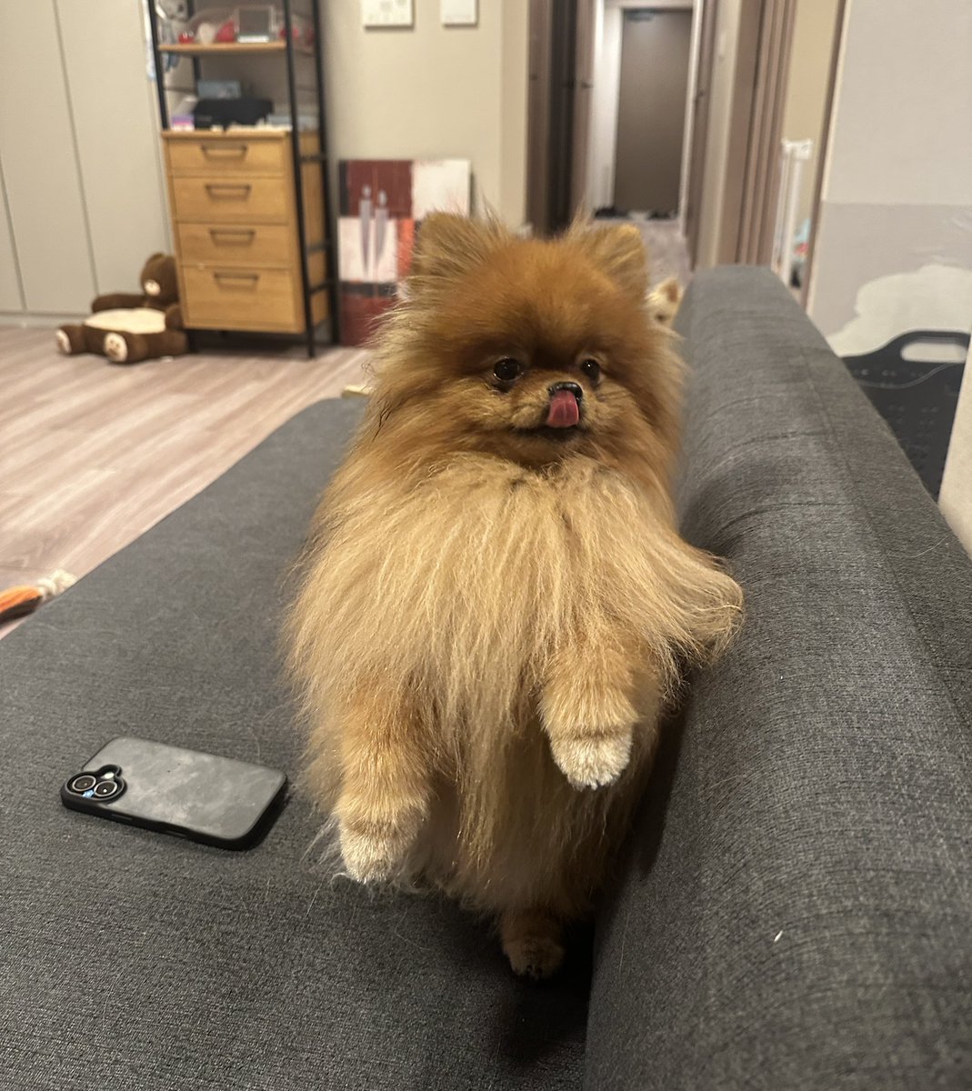 ミルモとポン！ (@mirumo__pon) / Posts / X