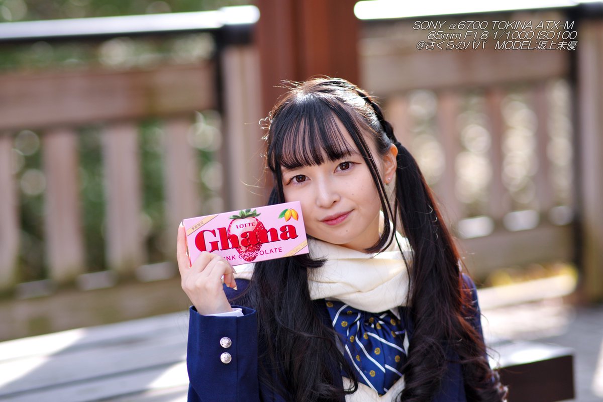 🇺🇦さくら🐇のパパ🇯🇵高配当株に移行中🇺🇦 (@K70_55) / Posts / X