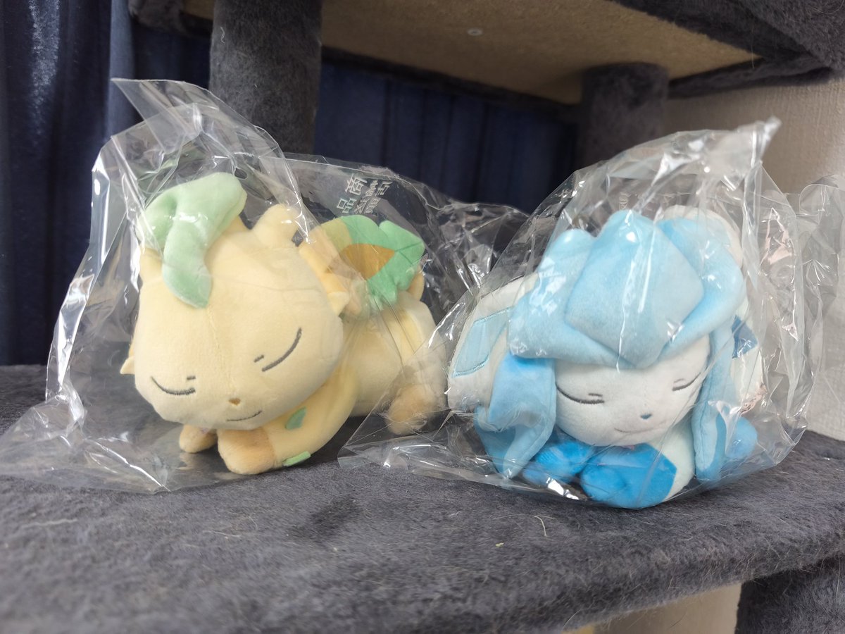 ダイパ組のリーフィアとグレイシアがそろった