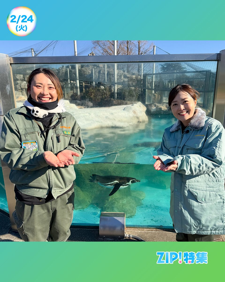 ☀️あしたのZIP! 2/24(火)☁️ ZIP!特集は #ミトjob🌟 水卜アナがお