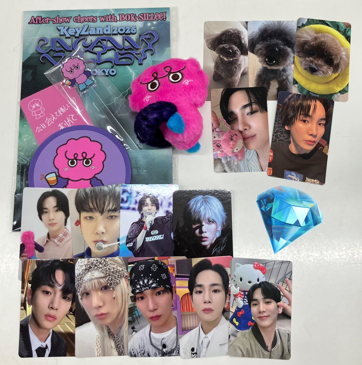 SHINee #샤이니 ボクシリの打ち上げセット、ペンライトデコドール