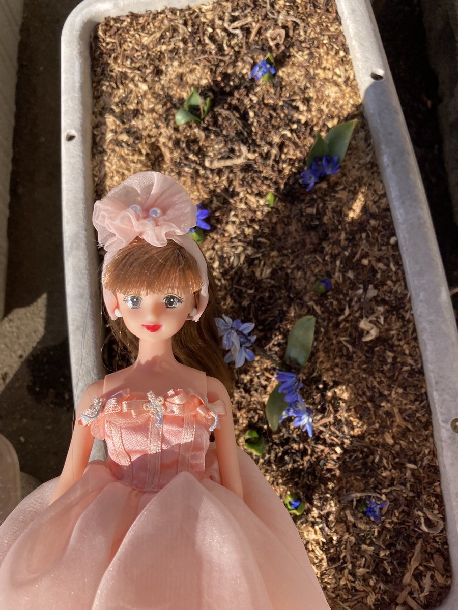 ∇・)エリーゼとガラスの花