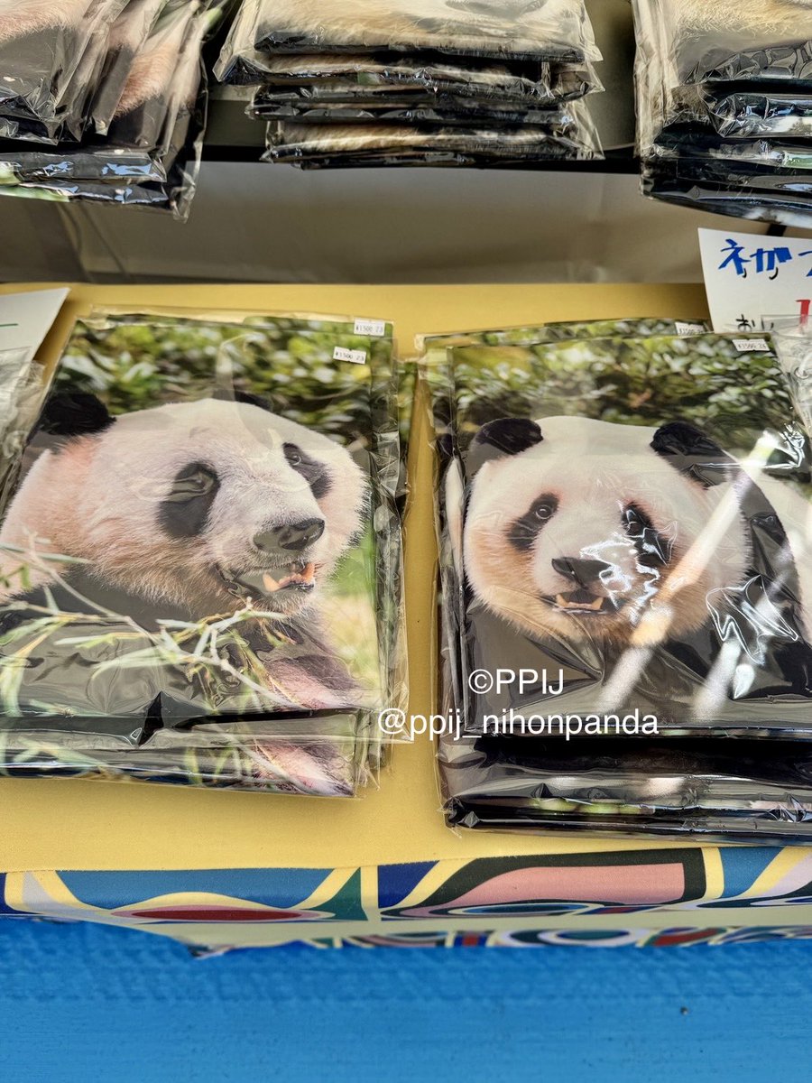 ウエノデ.パンダ春節祭2026、上野公園で大盛況のうちに終了