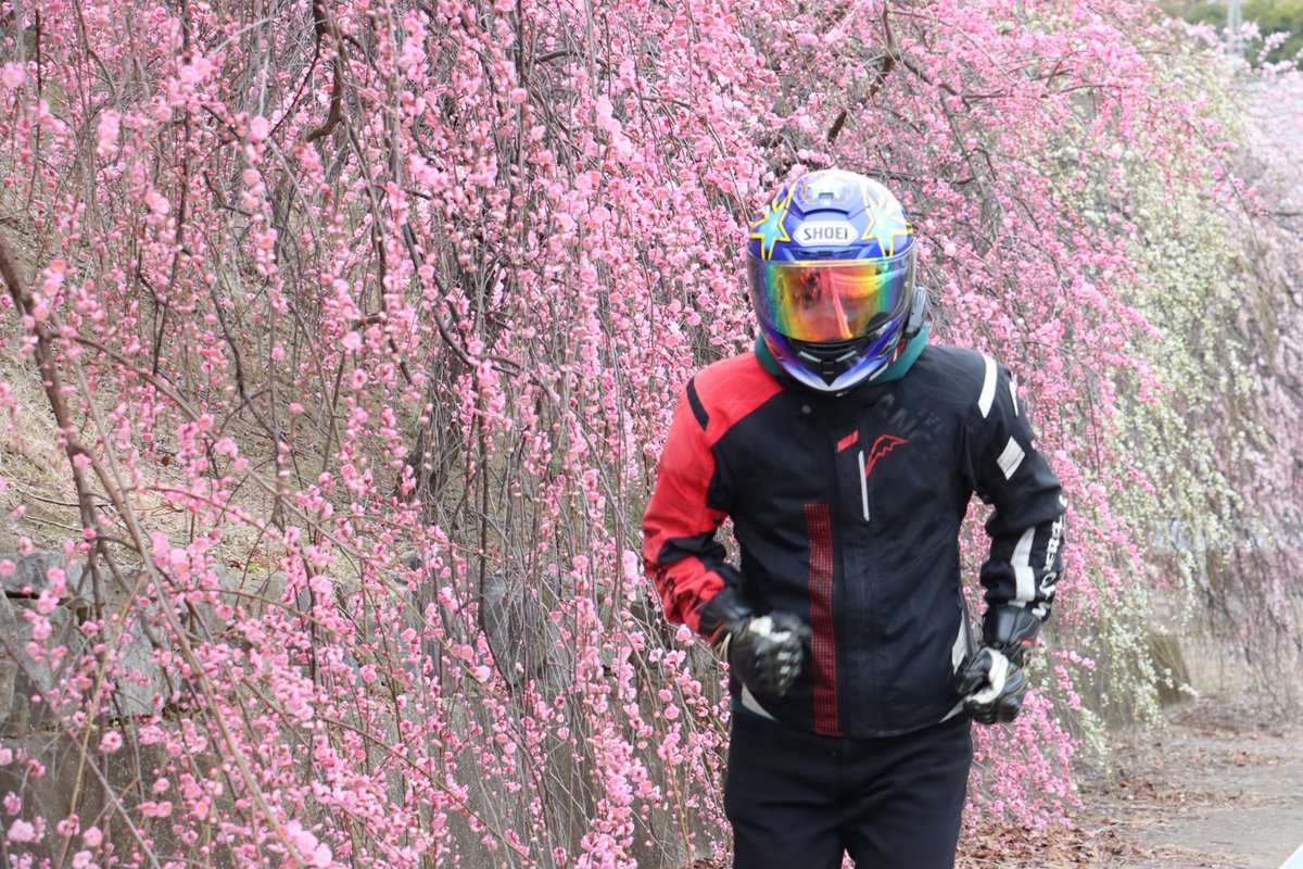 みっちゃん🦑 (@mi_ko_xxxx_ex) / Posts / X