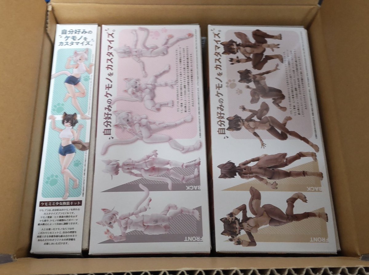 ﾅｵﾖｼ (@naoyoshi738) / Posts / X