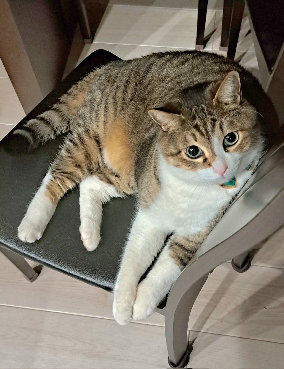 kazu✨ (@kazu0729f) / Posts / X