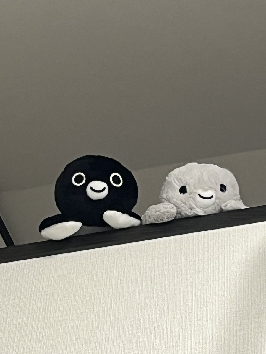 Post by 緋彗🐧 on X: 視線を感じる……