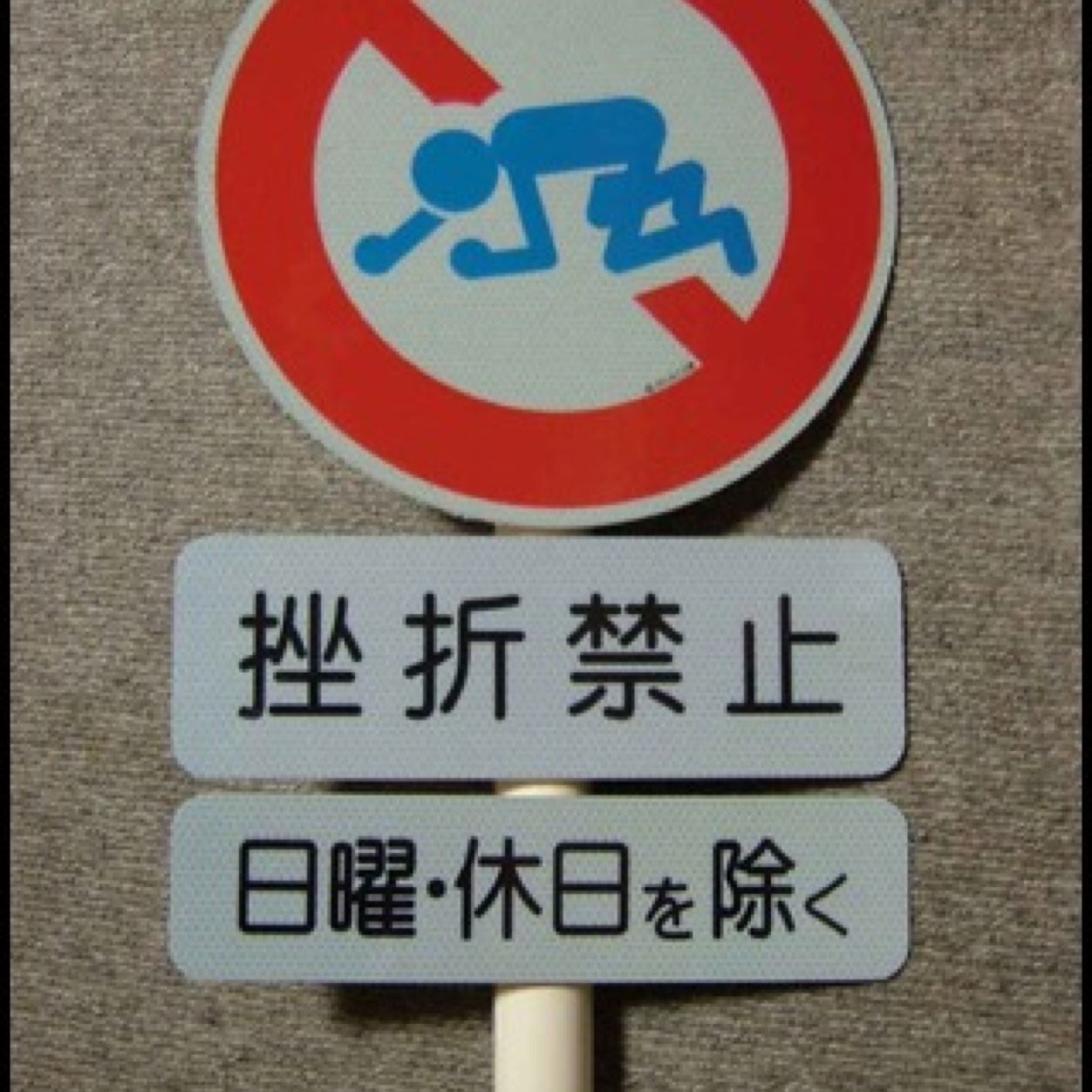 ふじもん (@fujimon_marlife) / Posts / X