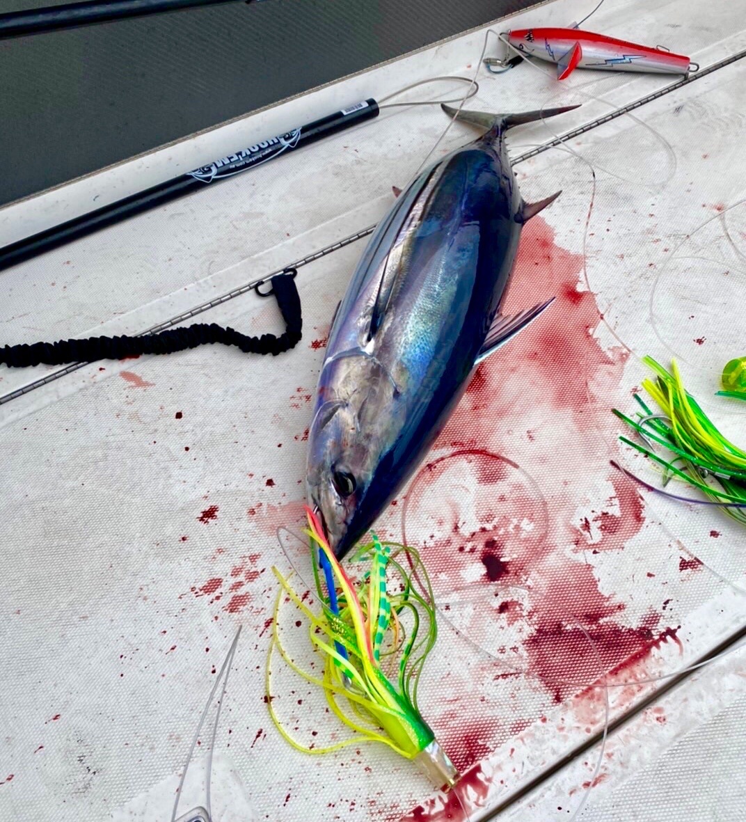 トローリングルアーヘッド 海松カグラ トローリングルアーヘッド 海松