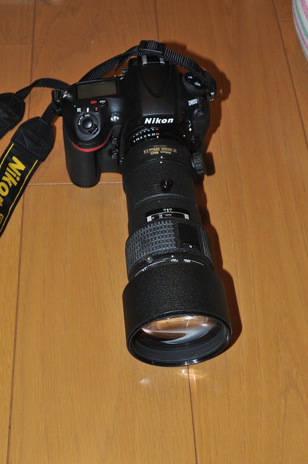 AF Nikkor 300mm F4 ED の素晴らしさ : nakajima akira's photobook