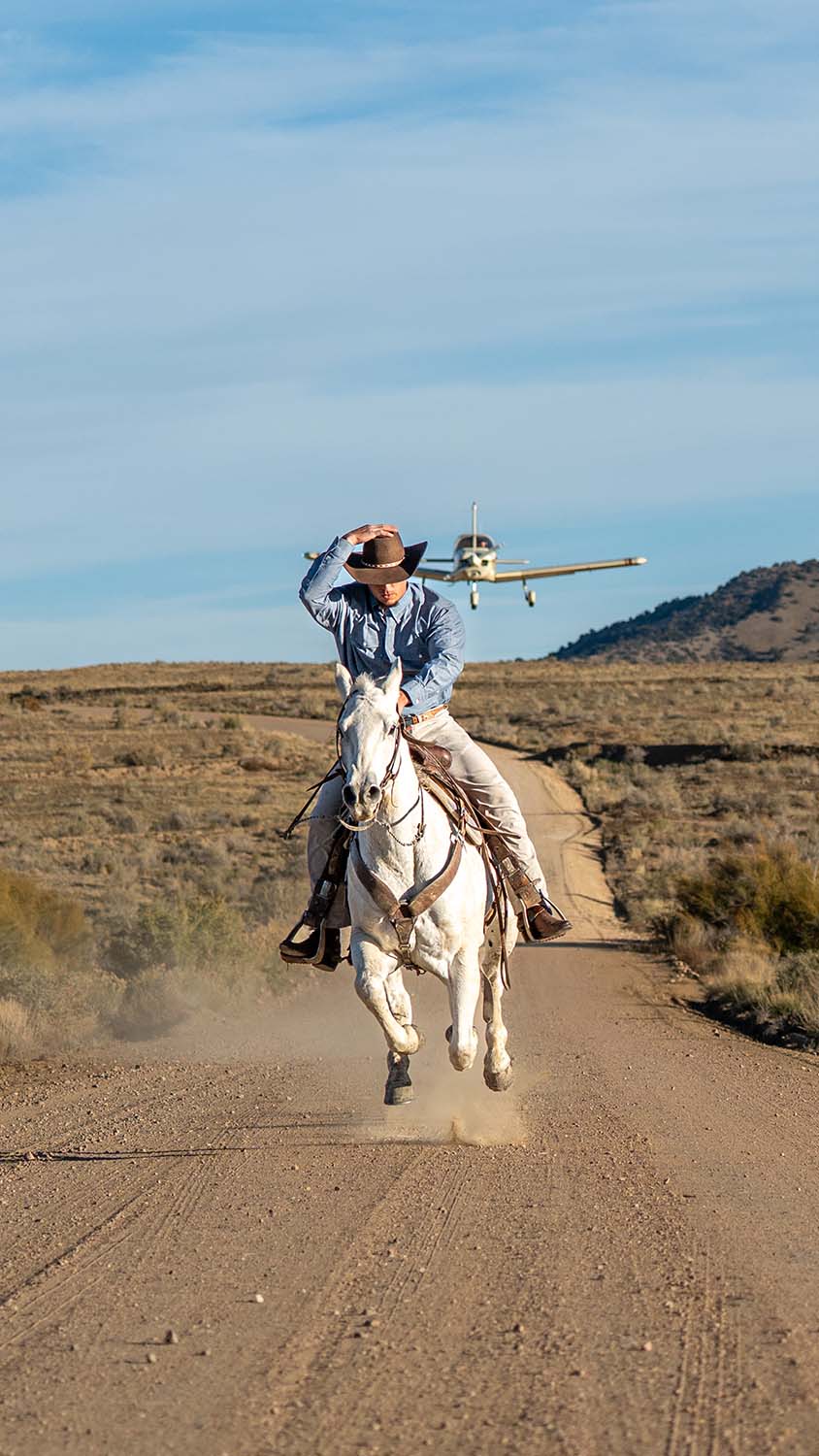 Tasha Polizzi Sunny Rose Horse Western Sweater Cardigan | Pinto Ranch