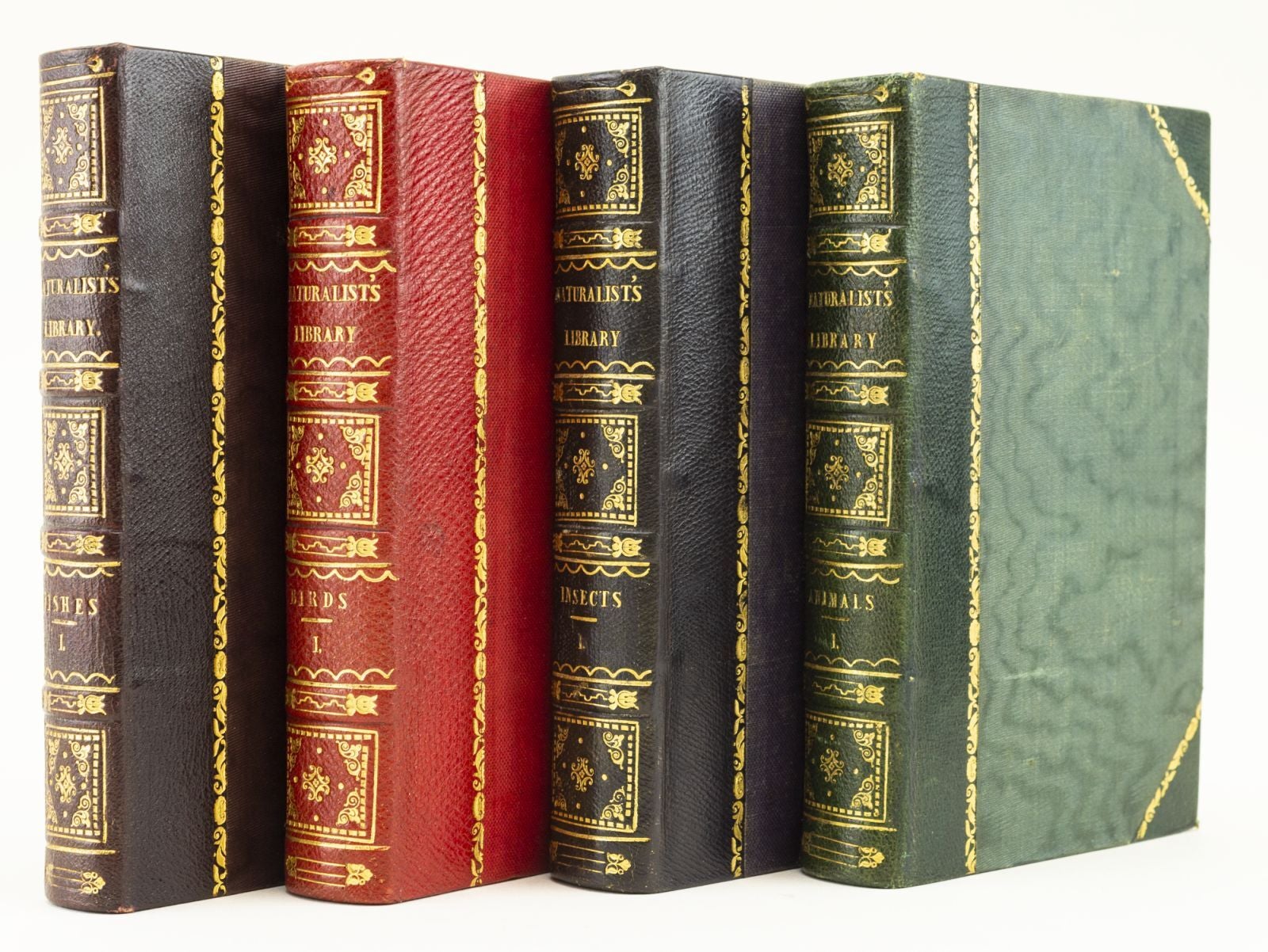 Pirages | Jardine. Naturalist's Library. 1845-46