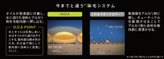 iNOAから新色「iNOA HIGH LIFT｜イノア ハイリフト」誕生。日本人の髪