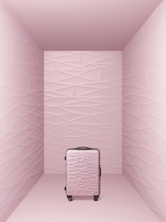 旅行に意欲の高いミレニアル女性に向けて「プロテカ」エントリーモデル