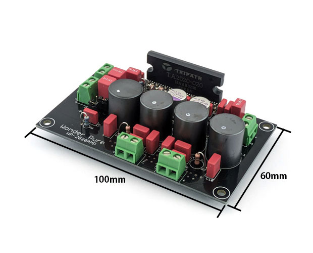 2020デジタルアンプ【基板完成品】/WP-2020AMP-DXG/4900474021333/共立