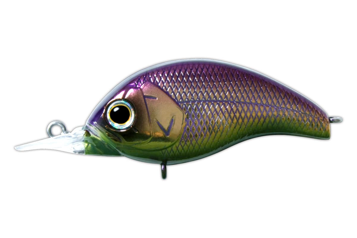 KORRIGAN SR | deps OFFICIAL HP | デプス 公式HP