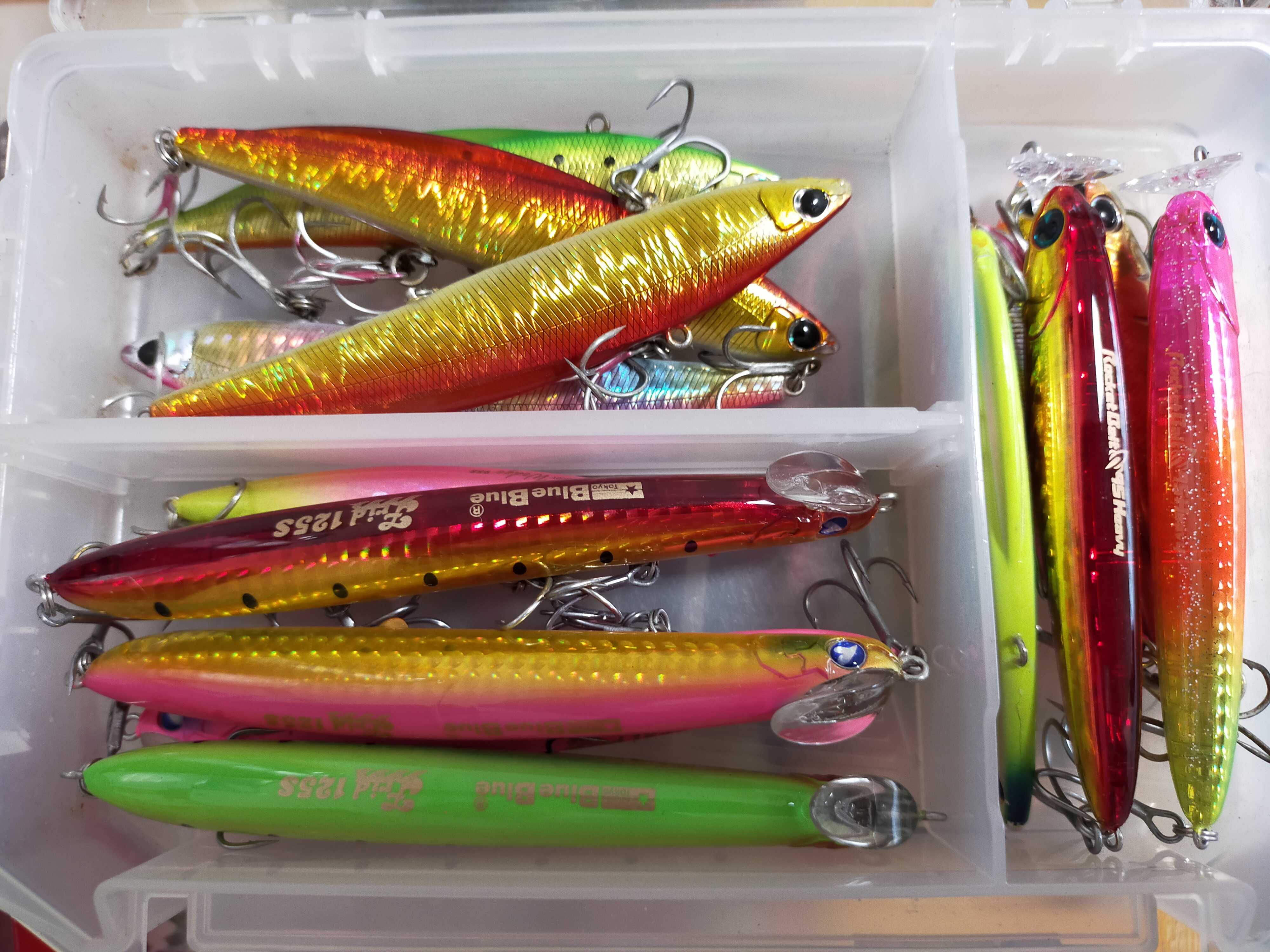西湘サーフ一軍ルアー達2021 - makoto.lvrの雑記