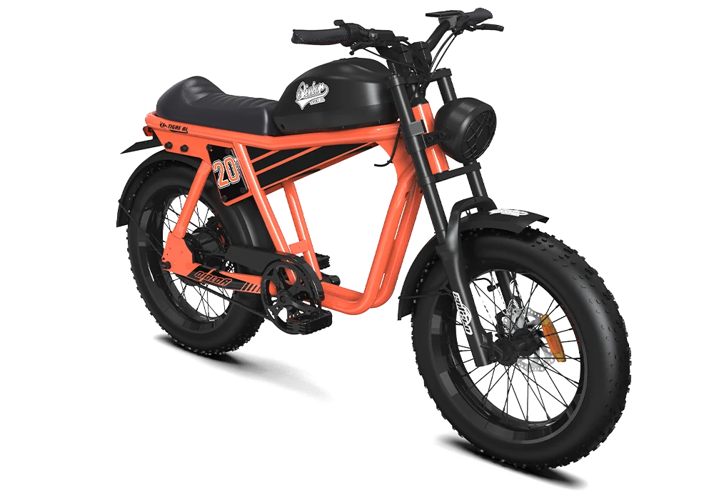Fat Tire Electric Bikes | Qiolor eBikes for Adult & Sale