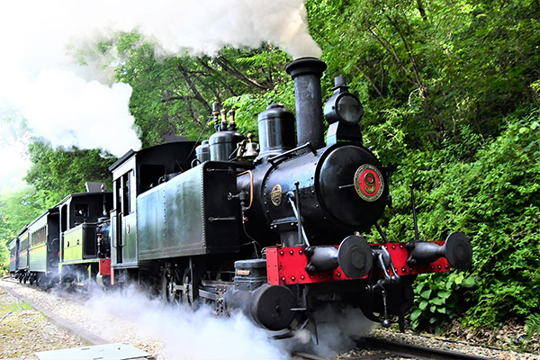 写真追加アリ※【オーバーホール前の特別企画】明治村の蒸気機関車が9号