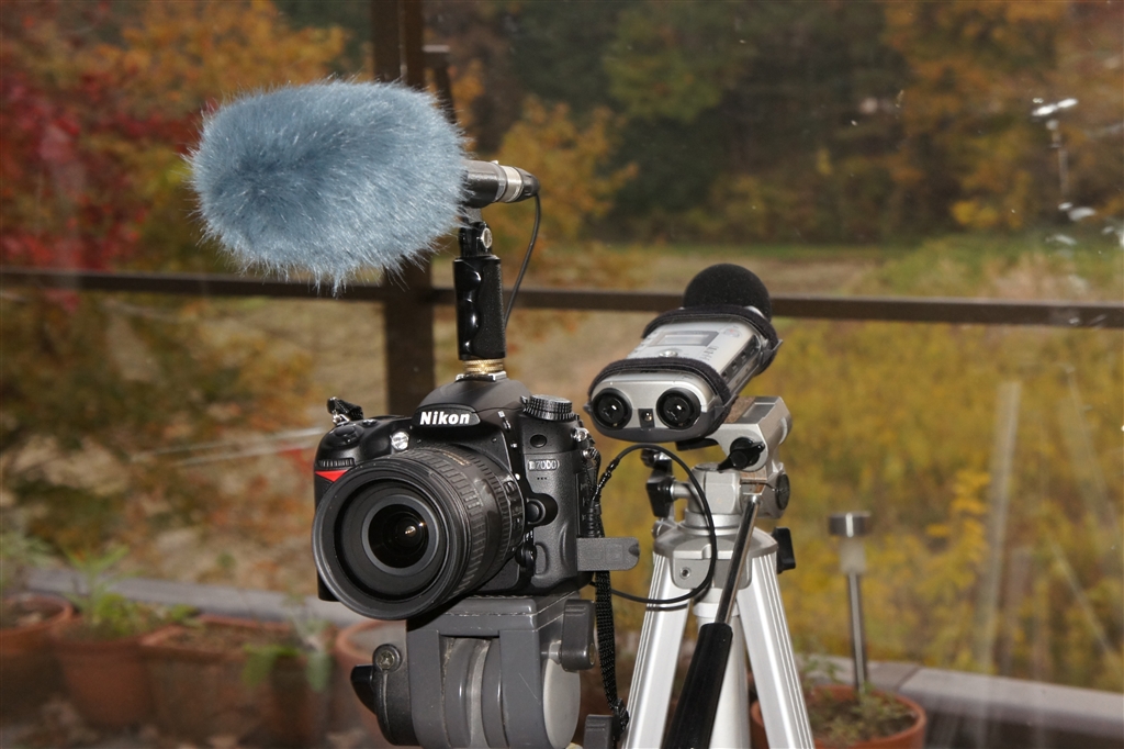 価格.com - 『フロントAT822 リアZOOM H4で音声収録』ニコン D7000