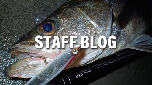 SilverStream 810 Flows Nano | リップルフィッシャーリップルフィッシャー