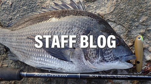 RealCrescent RC-75 | リップルフィッシャーリップルフィッシャー