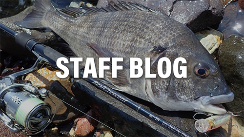 RealCrescent RC-75 | リップルフィッシャーリップルフィッシャー