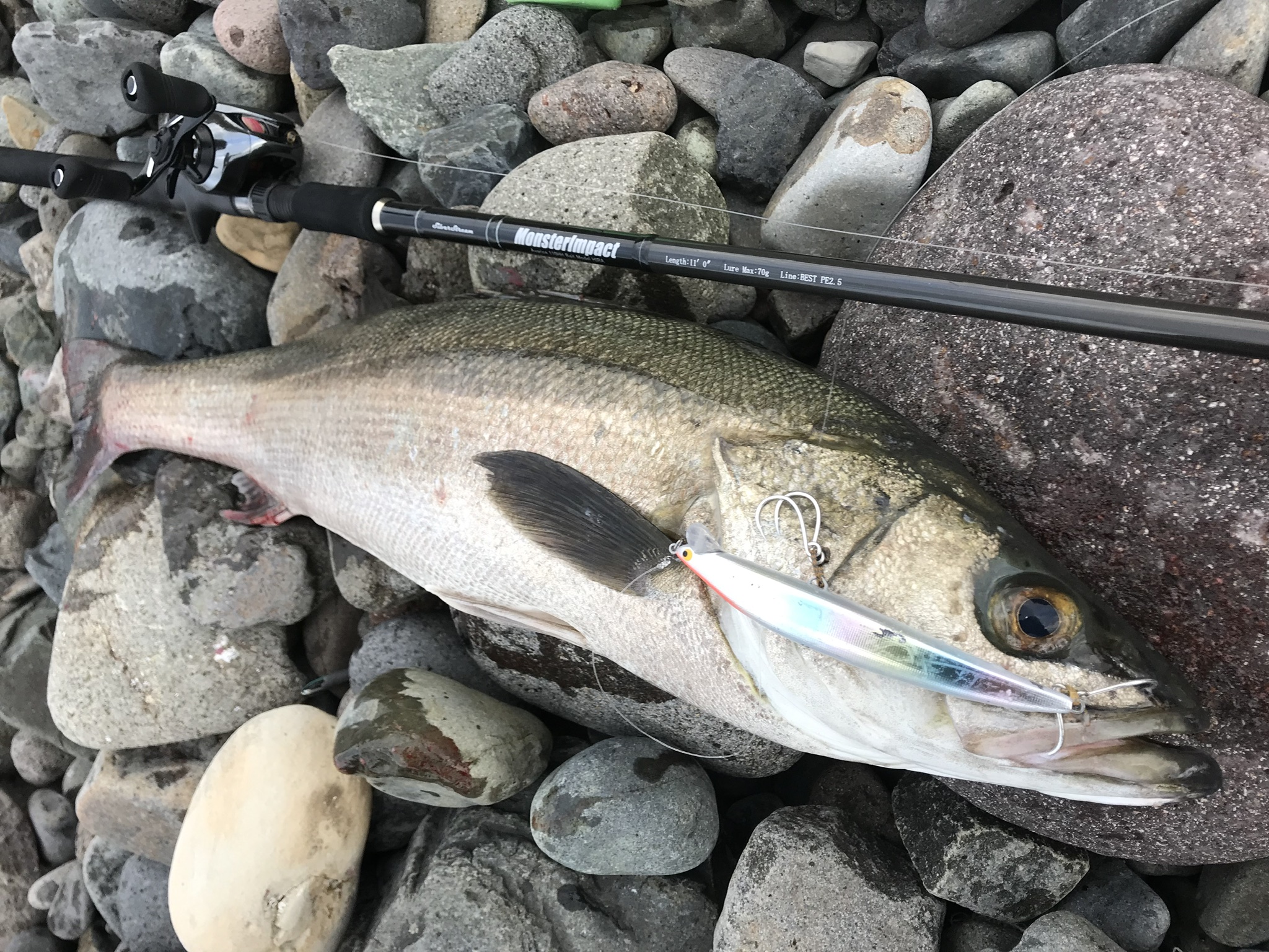 釣行レポート】MonsterImpact 110HH Bait HIRA・RunnerExceed 107BH