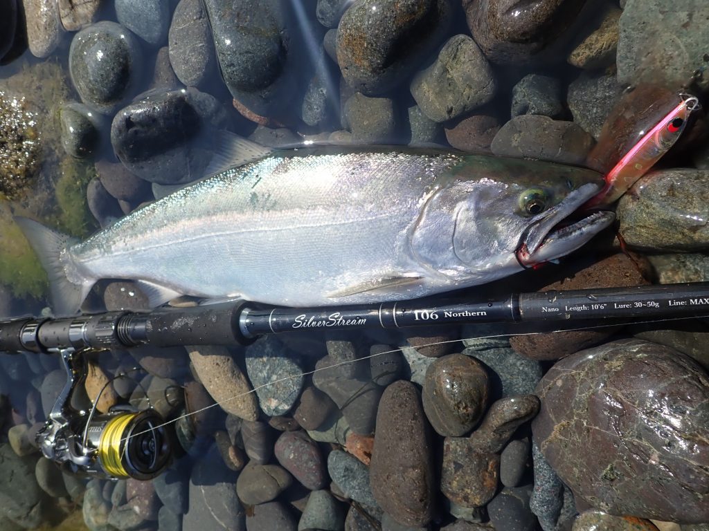 SilverStream 106 Northern Nano 海サクラマス・釣果報告 | リップル