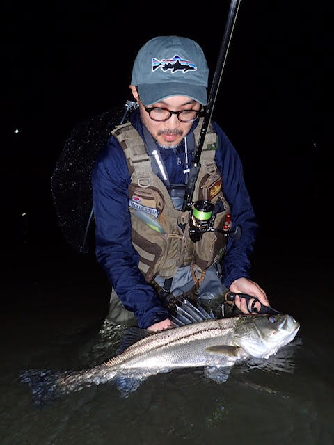 SilverStream 96 Flows Nano リバーシーバス釣行レポート | リップル