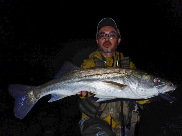 SilverStream 96 Flows Nano リバーシーバス釣行レポート | リップル