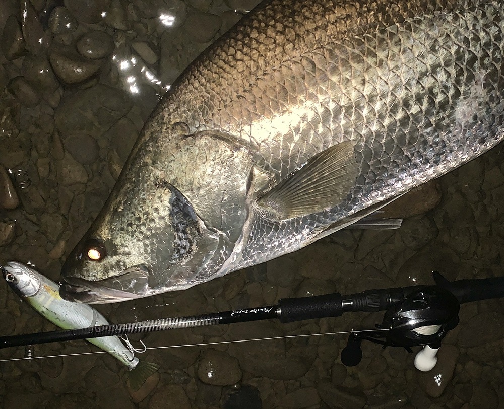 新製品紹介】MonsterImpact91BH | リップルフィッシャーリップル