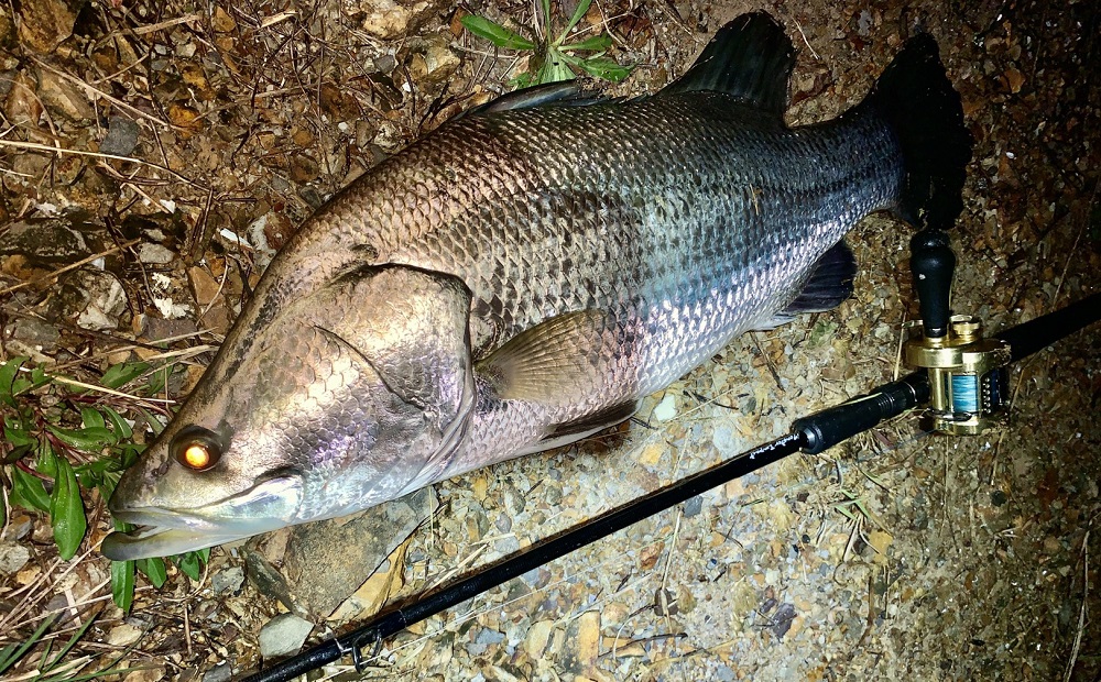 新製品紹介】MonsterImpact91BH | リップルフィッシャーリップル