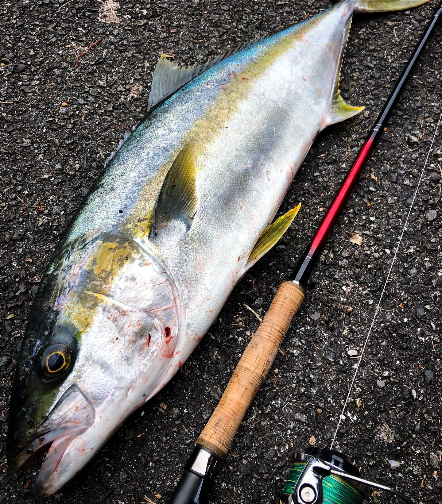 RunnerExceed 104H Nano PlugModel LTD ショアヒラマサ・釣果報告