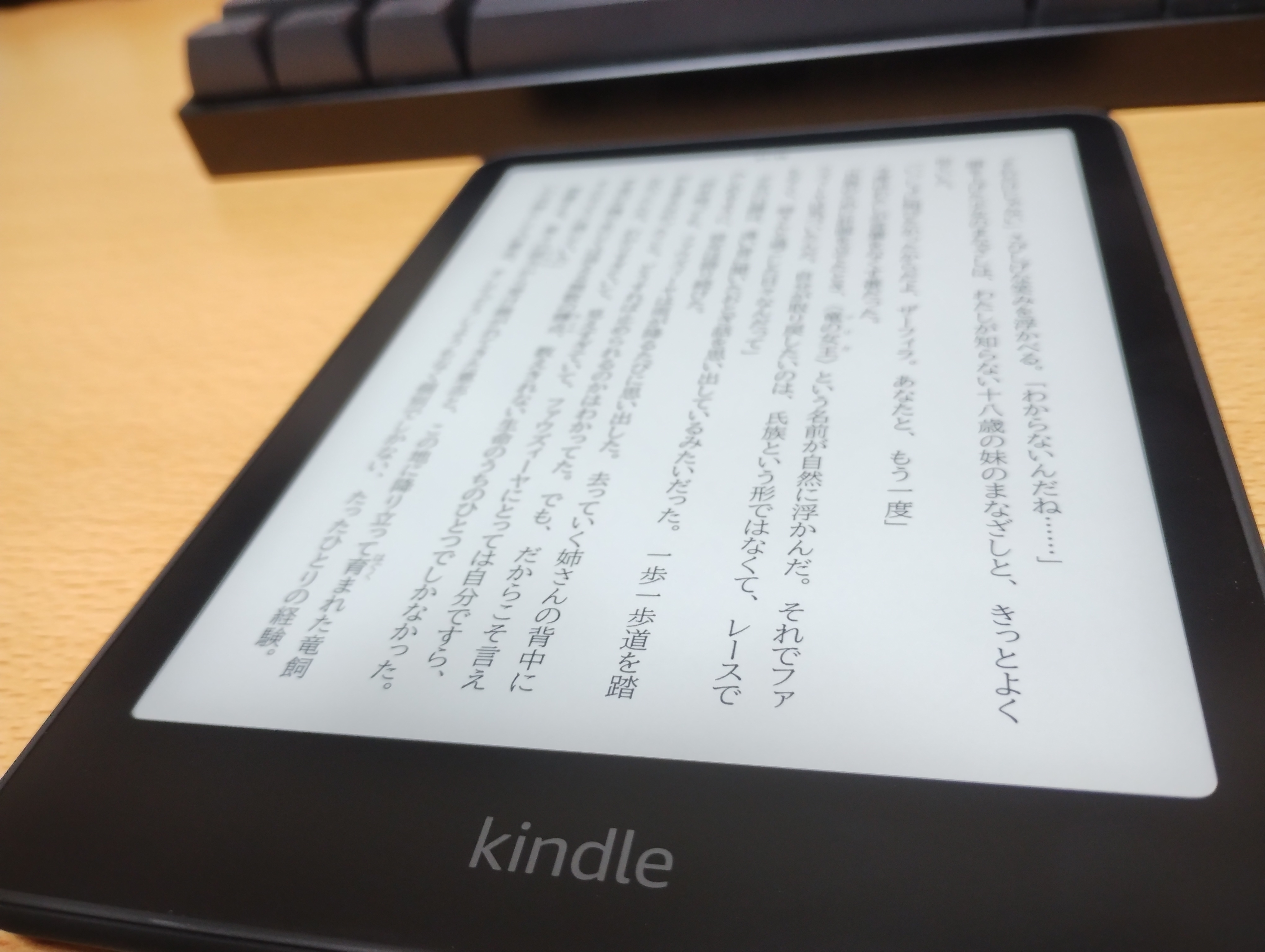 Kindle Paperwhite（第12世代）のテンション低めな雑感 | 点と接線。