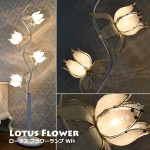 bt-lotus-flower-flr-wh-300x300.jpg