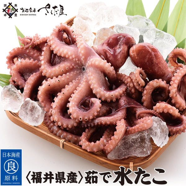 訳ありミニサイズ 福井県産茹で水だこ 500g～1kg ｜ 福井県越前市の