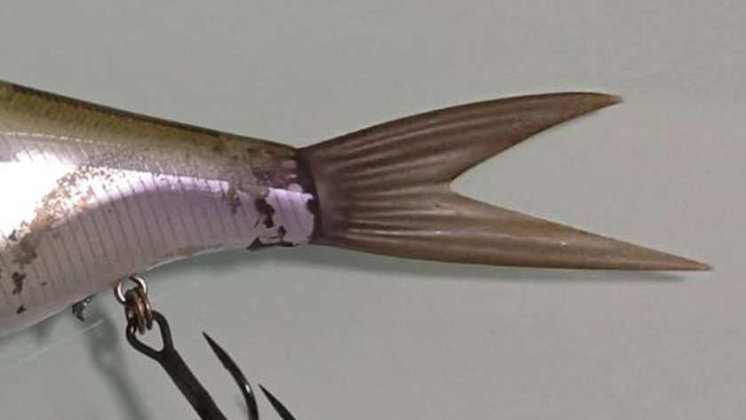 クラッシュ9のセッティング！特徴～基本性能を生かす設定と釣れる