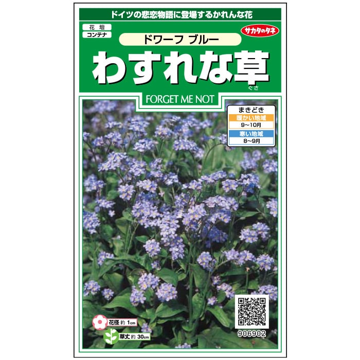 わすれな草 ドワーフ ブルー｜種（タネ）,球根,苗,資材,ガーデニング