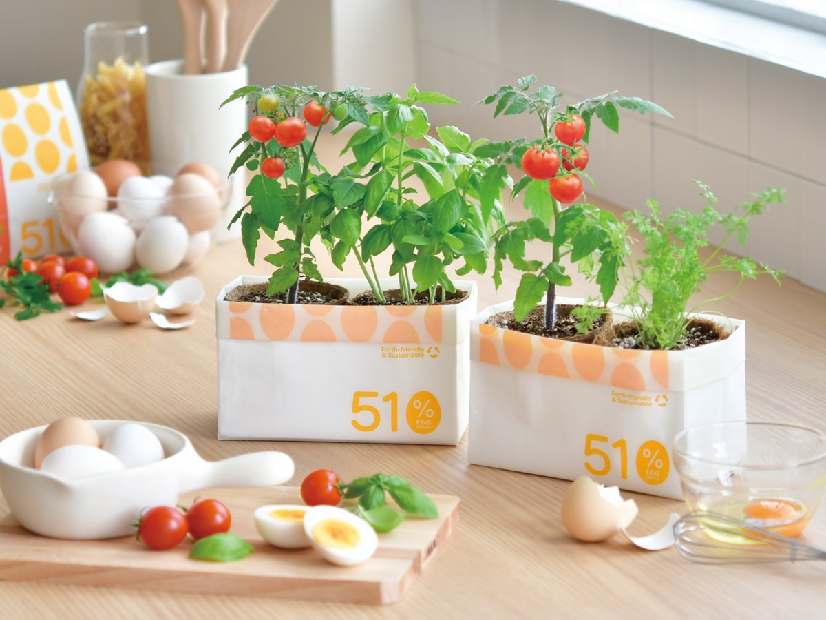 栽培セットの始め方 - SEISHIN PLUS