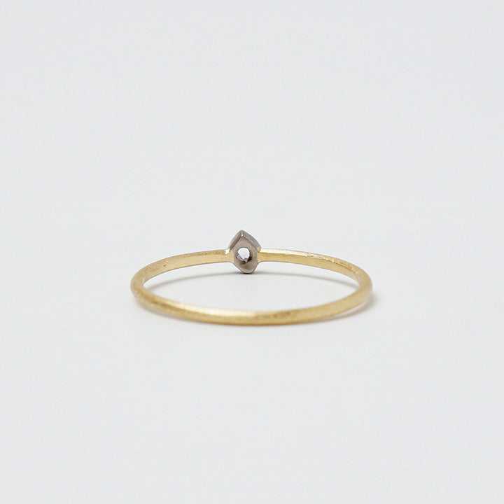 GICLAT：SEED ring G04R3K