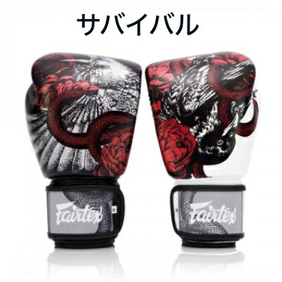 楽天市場】フェアテックス Fairtex ボクシンググローブ 【BGV1】 8 10