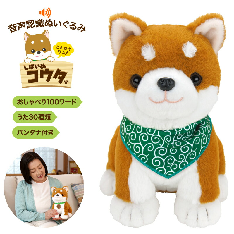 楽天市場】【1300円OFFクーポン】しばいぬコウタ バンダナ付きセット